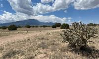 Photo from the Placitas Withdrawal Tracts by Jacob Nowell, Realty Specialist, Rio Puerco Field Office.