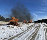 Slash piles burn along Billy Creek Road. 