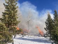 Piles of vegetation burn while surrounded by snow and trees.