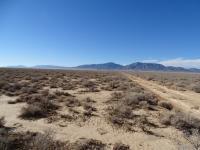 Photo of grassy flat desert land in Beaver County, Utah, with blue sky and mountains in the background.