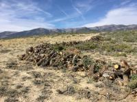 Cords of firewood offered for public sale line a two-track road south of Ely, Nevada.