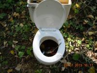 Abandoned toilet on public lands