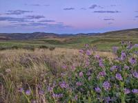 Lands transferred to BLM through the Blacktail Ranch acquisition.  Photo courtesy of Idaho Department of Fish and Game.