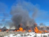 photo of piles burning
