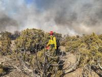 A firefighter in red helmet and yellow shirt carries a drip torch used to light brush on fire.