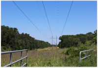 A view of Tract 37 in Simpson County Mississippi. In the foreground metal fencing and an open gate can be seen. Beyond it lies a field with power lines running over it, on each side of the clearing are wooded areas.