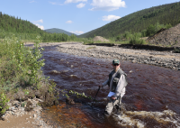 A stream scientist surveys Wade Creek.  
