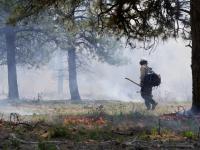 A firefighter walks among ground fire and smoke during a prescribed burn in 2023
