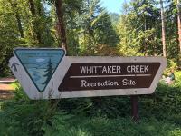 sign for Whittaker Creek Recreation Site showing BLM logo and an arrow pointing the way. in the background are green trees and folks walking