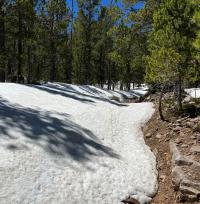 A dirt road through a forested area is covered with a snow drift.