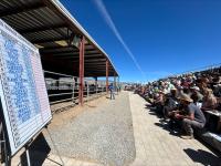 A whiteboard of auction results sits across from a full crowd seated under a blue sky