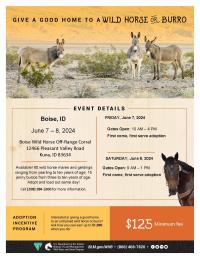 Adopt a wild horse or burro June 7 - 8; BLM Boise Wild Horse Corral