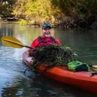 Person in a canoe transport weeds removed from shoreline
