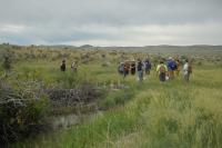 Group of people look at analog dam in the creek, surrounded by green grass and shrubs