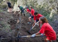 Volunteers helping clear a trail