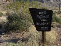 A brown, wooden sign reads Tonto National Forest Boundary US Department of Agriculture