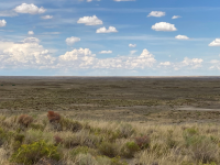 Landscape view of prairie with blue sky overhead.