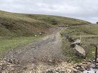 Spring Branch Road, gravel and wet road with gray skies. 