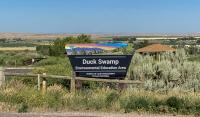 A portal sign reading "Duck Swamp Environmental Education Area" is posted in a brushy area with a bridge and covered picnic area in the distance.