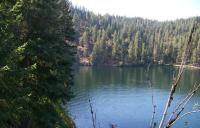 Lake Coeur d' Alene surrounded by trees, tree in foreground on left and dead brank on right.d