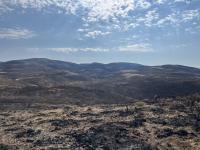 Herd Management Area burned from the Paddock Fire. 