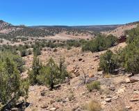 Dry Creek Travel Management Area in Uncompahgre Field Office