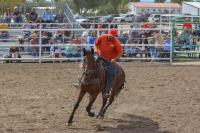 A man wearing a red shirt rides a brown horse in an arena while dozens of people watch from the stands.