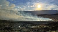 Firefighters work the Cave Gulch prescribed fire near the Snake River.