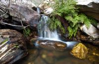 A miniature waterfall with ferns and rocks.