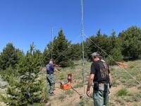 Two technicians installing radio repeaters between evergreen trees. 