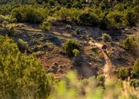 Phil's World trail system in Tres Rios Field Office, CO.