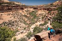 two hikers in the bottom right of the photo look out over a sandstone canyon