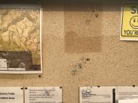 The kiosk at the Old Quarry Trails system near Newcastle damaged with bullet holes.