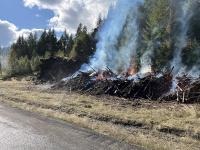 A prescribed fire pile burn on the Roseburg District