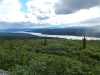 Photo of lake in background surrounded by vegetation.