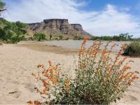 Swasey Beach in Green River District. Photo by BLM Utah.