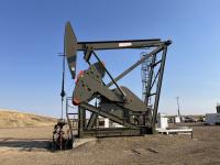 Oil and gas pump