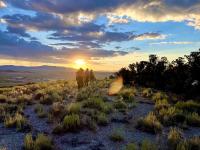 Engine crew hiking out of the Lost Hole Fire, ignited by lightning, in Elko, Nevada. Photo by Sarah McNeil, BLM