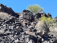 a rocky hillside in a desert landscape