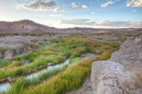 Lush green grass grows near a river in a desert area.  Photo by Bob Wick, BLM.