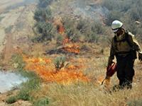 Prescribed Burn in New Mexico