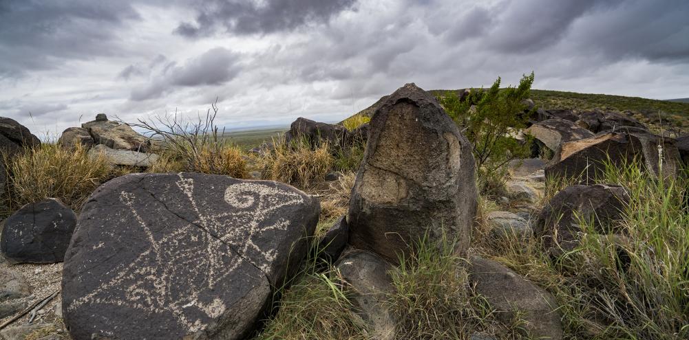 New Mexico Bureau of Land Management - Three Rivers Petroglyph Site New Mexico 2014 