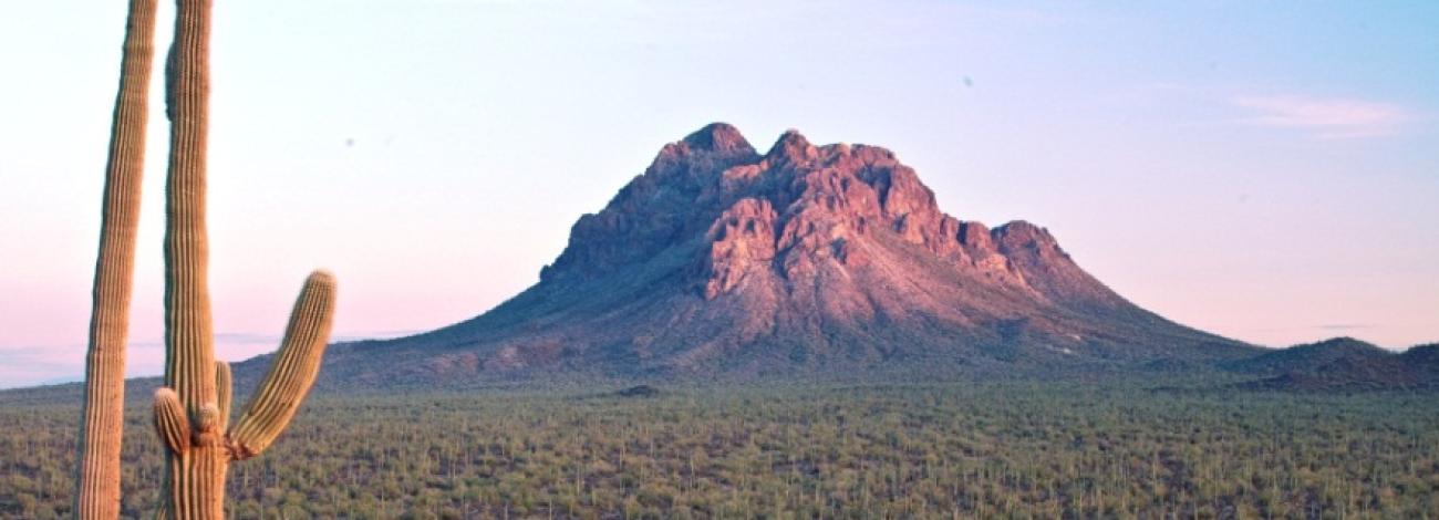 Gila District view of the Sonoran Desert