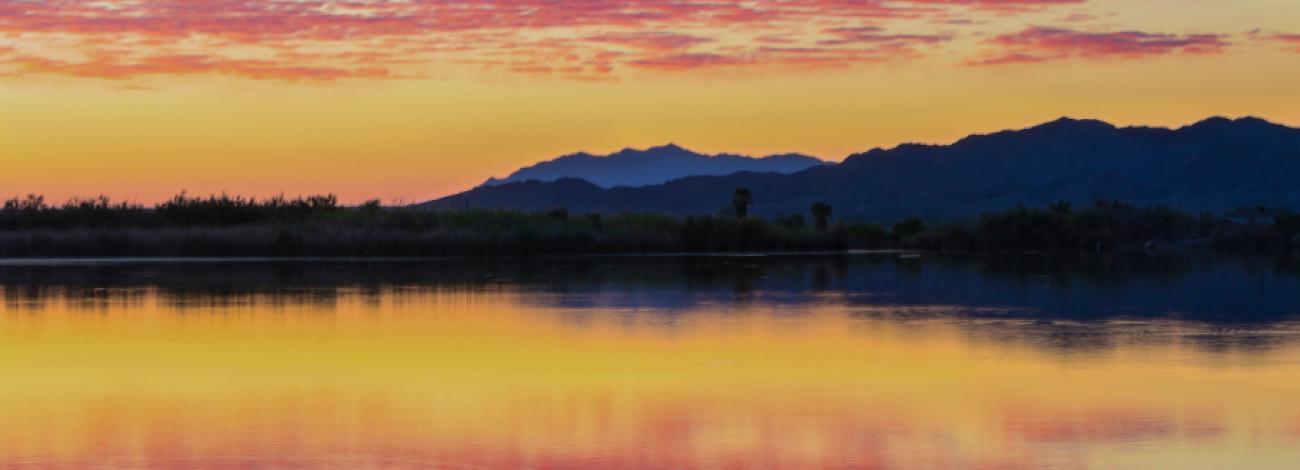 Sunrise at the edge of Mittry Lake