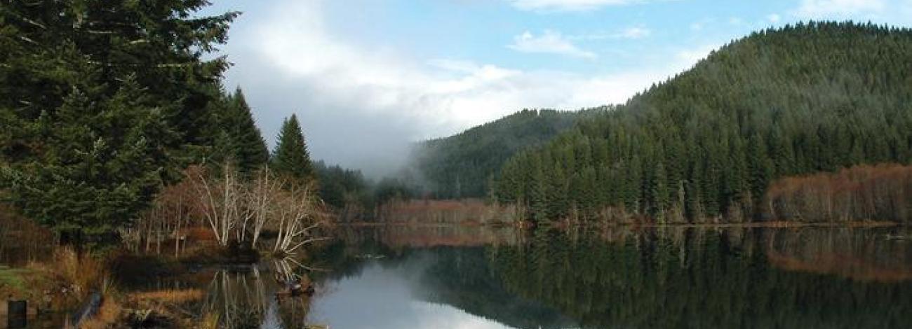 Hult Pond, Oregon