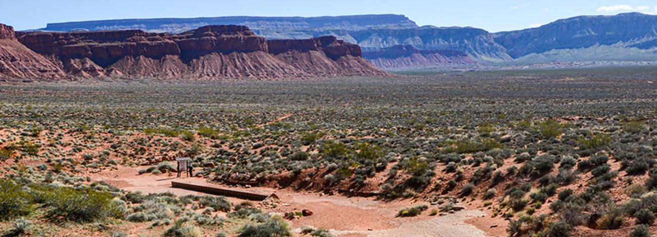 Warner Valley Tracksite