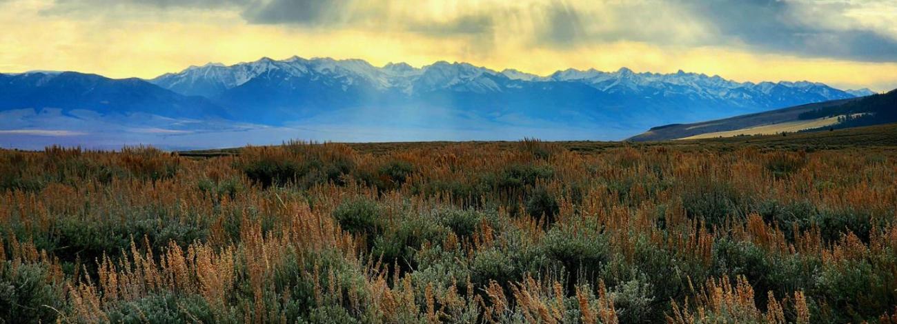 Gravelly Mountain Range