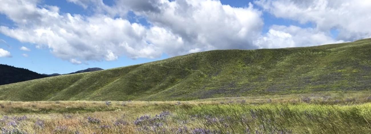 Palmer Mountain