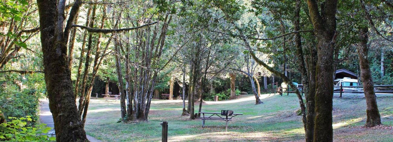 Paved trail and picnic site at Tyee Campground.