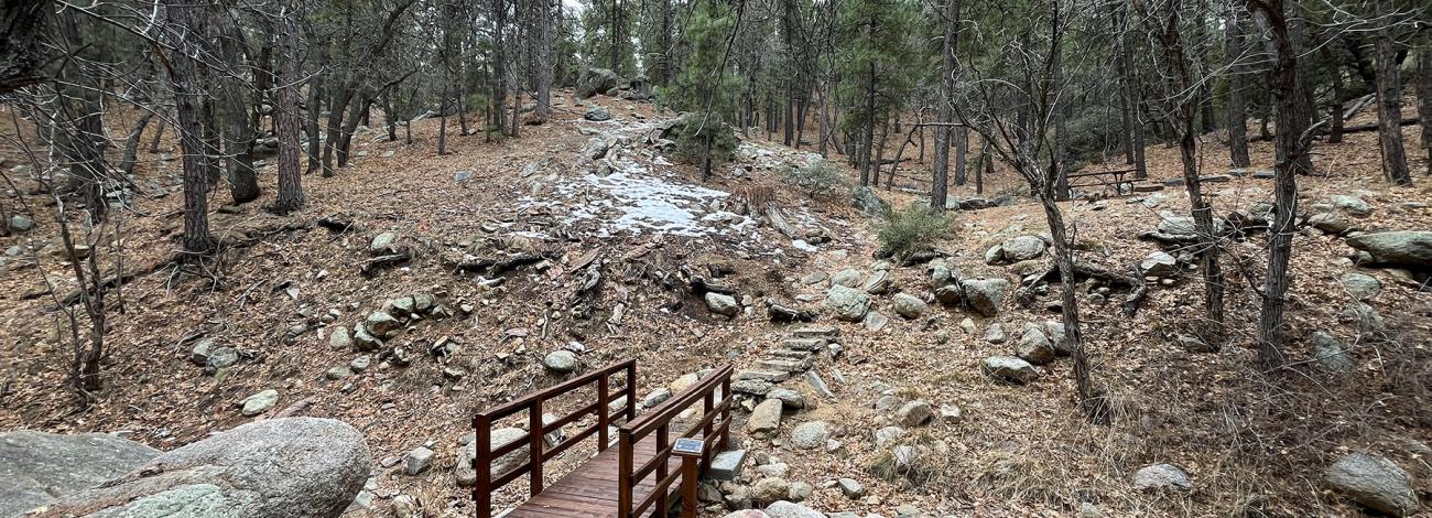 Wild Cow Springs Campground bridge